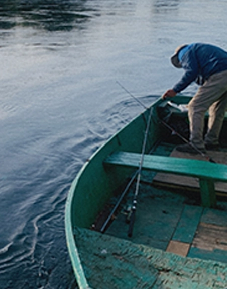 Imagen de la Exposición Selva Fría