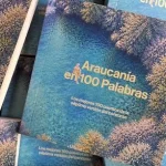 https://www.instagram.com/araucaniaen100palabras