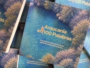 https://www.instagram.com/araucaniaen100palabras