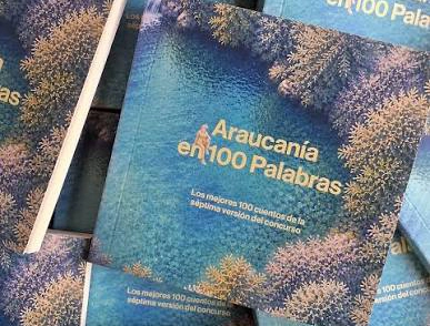 https://www.instagram.com/araucaniaen100palabras