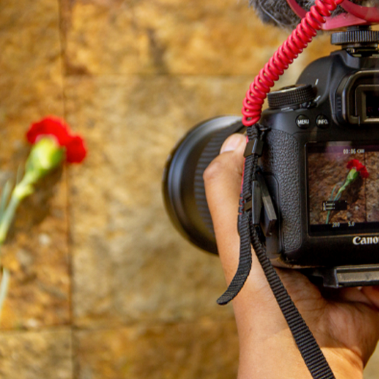 una persona sacándole una fotografía a un clavel rojo