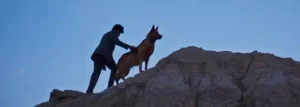 imagen de la película El ladrón de perros