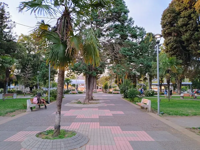 La XIX Fiesta Gastronómica del Digüeñe 2026 en Cunco se realizará los días sábado 10 y domingo 11 de octubre de 2026 en la Plaza de Armas de Cunco.